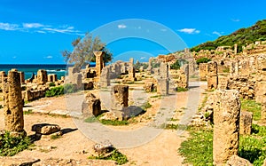 Ruins of Tipasa, a Roman colonia in Algeria, North Africa photo
