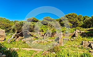 Ruins of Tipasa, a Roman colonia in Algeria, North Africa