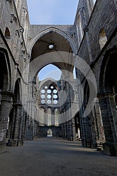 Ruins transept vault cathedral Abbey Villers la Ville, Belgium