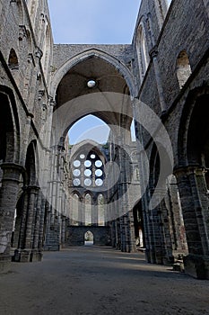 Ruins transept vault cathedral Abbey Villers la Ville, Belgium photo