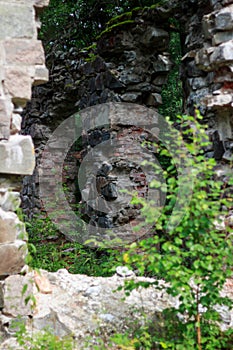 Ruins of the Tulmozersky iron smelter.