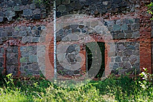 Ruins of the Tulmozersky iron smelter.