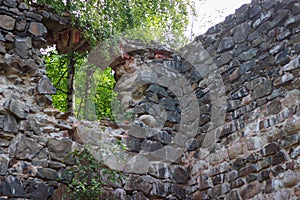 Ruins of the Tulmozersky iron smelter.