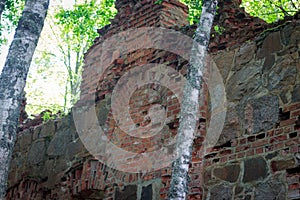 Ruins of the Tulmozersky iron smelter.