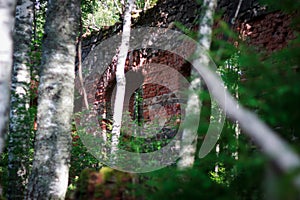 Ruins of the Tulmozersky iron smelter.