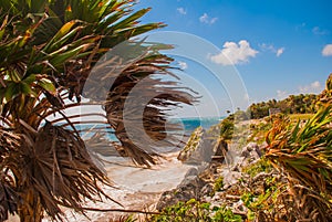 Ruins of Tulum, Mexico overlooking the Caribbean Sea in the Riviera Maya Aerial View. Tulum beach Quintana Roo Mexico - drone shot