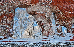 Ruins of the Viljandi Order Castle in cold and sunny winter day, through openings in the wall we can see frosty trees