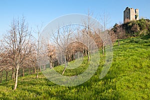 Ruins of the village of Castelnuovo