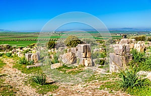 Ruins of Volubilis, a Berber and Roman city in Morocco