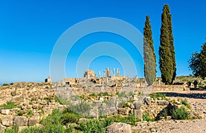 Ruins of Volubilis, a Berber and Roman city in Morocco