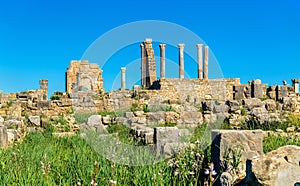 Ruins of Volubilis, a Berber and Roman city in Morocco