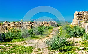 Ruins of Volubilis, a Berber and Roman city in Morocco