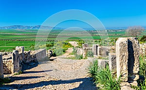 Ruins of Volubilis, a Berber and Roman city in Morocco