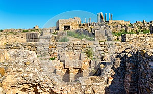 Ruins of Volubilis, a Berber and Roman city in Morocco