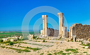 Ruins of Volubilis, a Berber and Roman city in Morocco