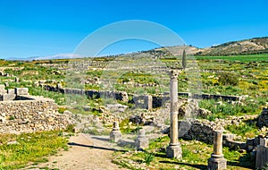 Ruins of Volubilis, a Berber and Roman city in Morocco