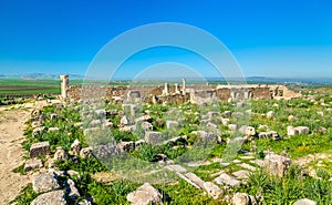 Ruins of Volubilis, a Berber and Roman city in Morocco