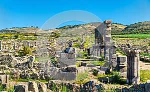 Ruins of Volubilis, a Berber and Roman city in Morocco