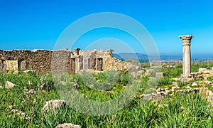 Ruins of Volubilis, a Berber and Roman city in Morocco