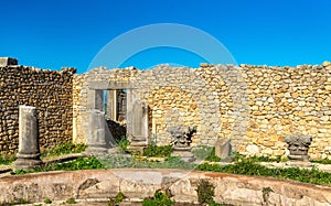 Ruins of Volubilis, a Berber and Roman city in Morocco