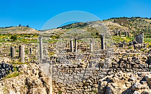 Ruins of Volubilis, a Berber and Roman city in Morocco