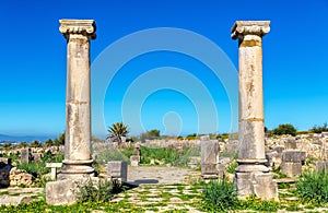 Ruins of Volubilis, a Berber and Roman city in Morocco