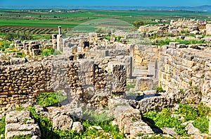 Ruins of Volubilis, a Berber and Roman city in Morocco