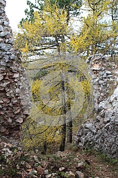 Ruins of Vrsatec castle in Vrsatske bradla mountain, Slovakia