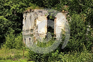 Ruins and walls of broken castle in bushes