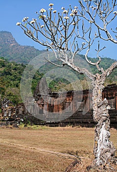 Ruins of the Wat Phu Temple Laos