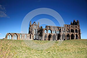 Ruins of Whitby Abbey