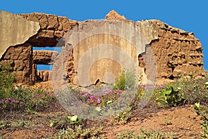 Ruins and wild flowers - South Africa