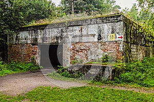 Ruins of Wolfsschanze