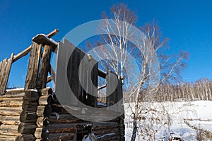 The ruins of a wooden country house against the background of a birch grove in winter.