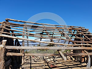 Ruins wooden shelter, Photo of old wooden framework for making tent in top of mountain