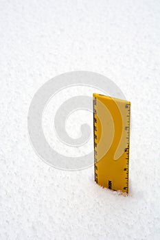 Ruler in Snow