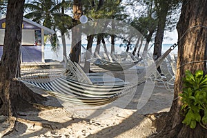 Rum Point Hammocks