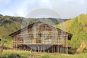 Rumah Kaki Seribu, Arfak Mountains, Papua