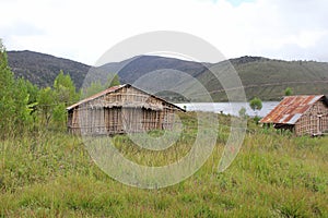 Rumah Kaki Seribu, Arfak Mountains, Papua photo