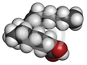 Rumenic acid bovinic acid, conjugated linoleic acid, CLA fatty acid molecule. photo