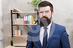 Run a company. Human resources. Job interview. Recruiter professional occupation. Man bearded top manager boss in office
