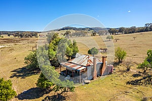 Run down abandoned farm house now has the run of sheep