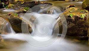 Run of mountain brook