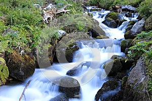 Run of mountain brook