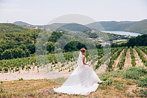 A runaway bride walks in a deserted field, admires vineyards and mountains, and feels free. A young girl retired in