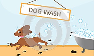 Runaway Dog Wash from Bubble Bath