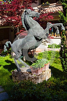 Runaway horse statue in the garden