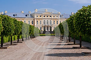 Rundale palace park alley