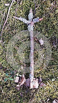 rune algiz from a dry branch on a moss