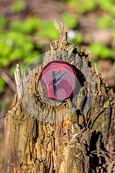 Rune Fehu carved from wood on an old stump